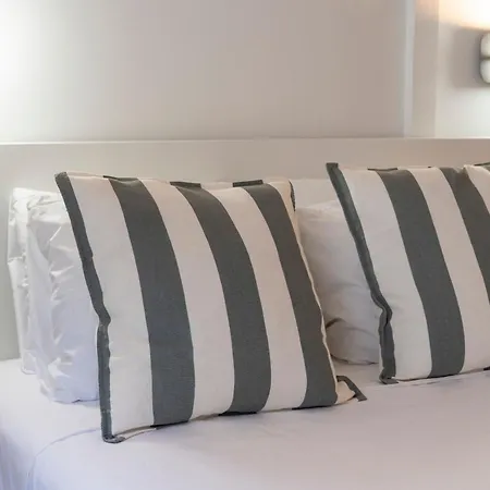 Vlc Host - Vicente Brull *